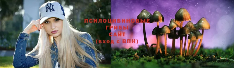 Галлюциногенные грибы Magic Shrooms  Краснокамск 